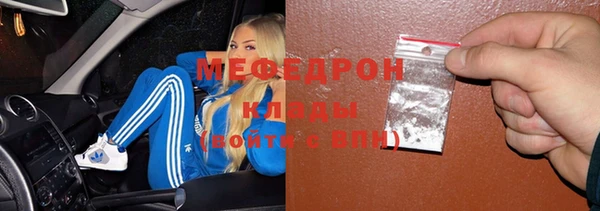 сатива Коряжма