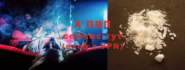 шишки Корсаков