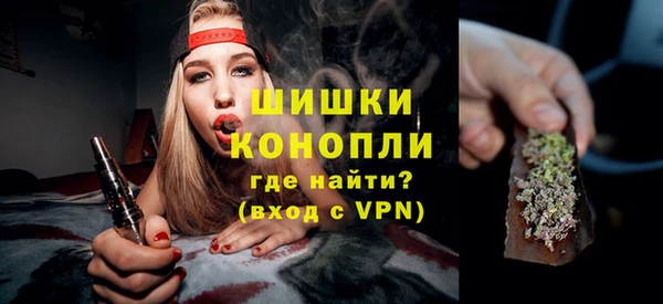 шишки Корсаков