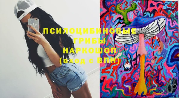 шишки Корсаков