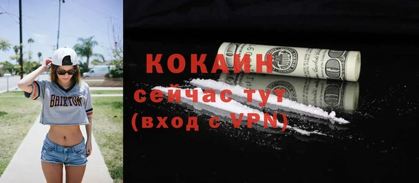 сатива Коряжма