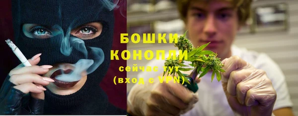 сатива Коряжма