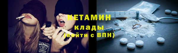 сатива Коряжма