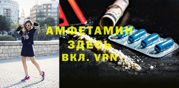 сатива Коряжма