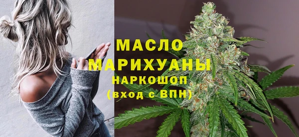 сатива Коряжма