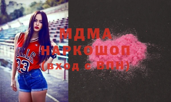 шишки Корсаков