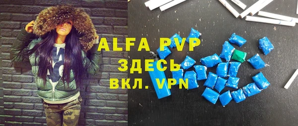 сатива Коряжма