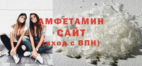 сатива Коряжма