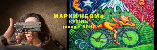 сатива Коряжма