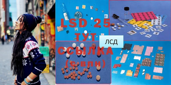 шишки Корсаков