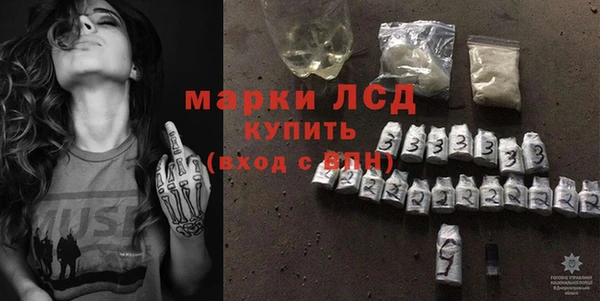 шишки Корсаков