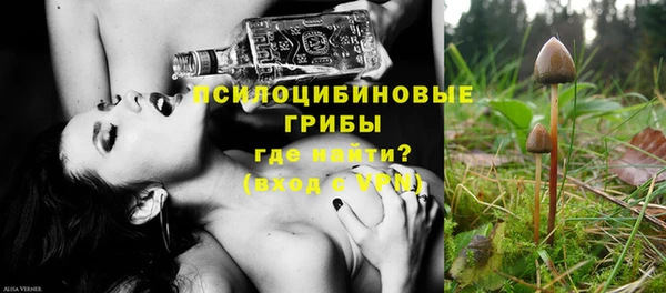 хмурый Краснослободск