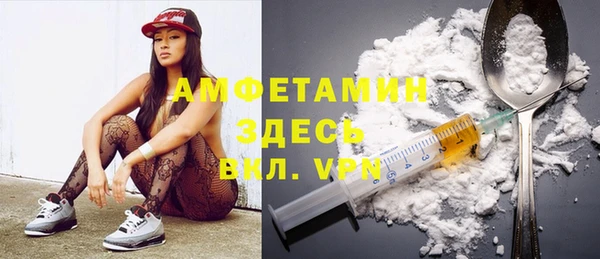 сатива Коряжма