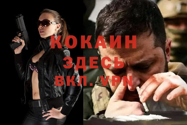сатива Коряжма