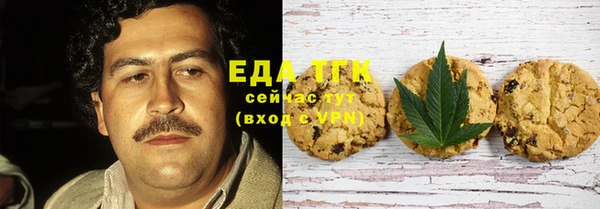 шишки Корсаков