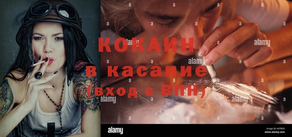 шишки Корсаков