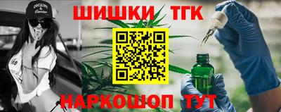 МДПВ Камышлов