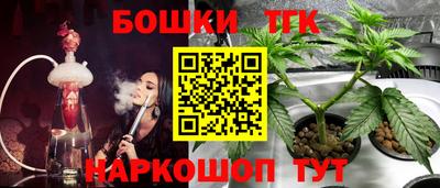 спиды Канаш