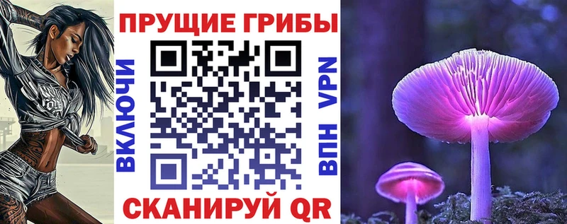 Галлюциногенные грибы Psilocybe  купить наркотики цена  Людиново 
