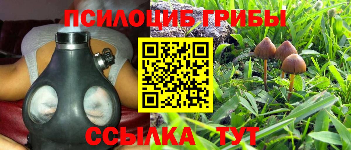 Галлюциногенные грибы Cubensis  Вход с VPN  Людиново 