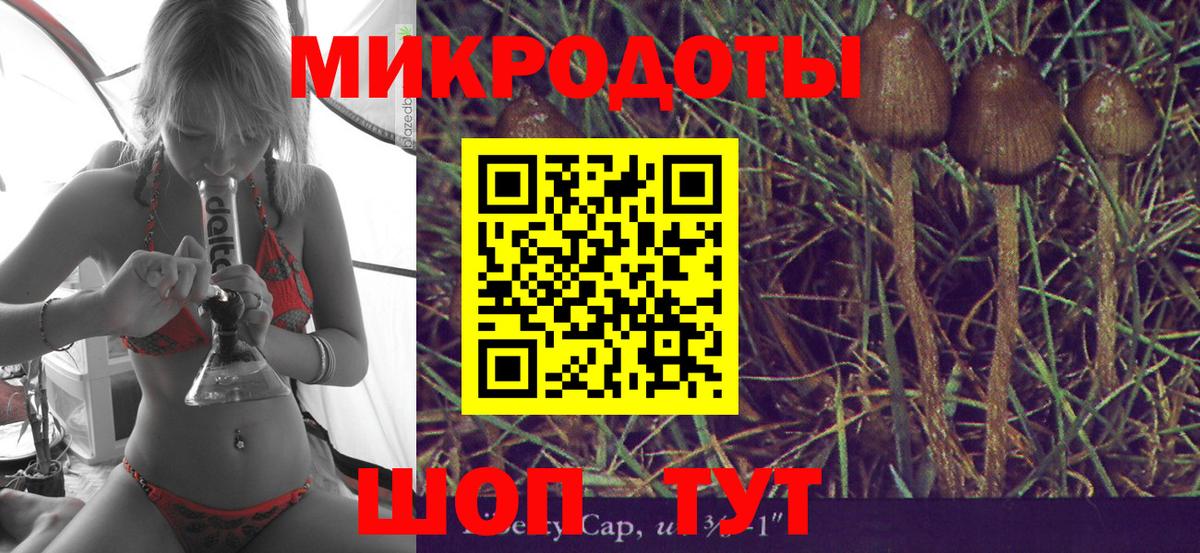 Псилоцибиновые грибы мухоморы Людиново