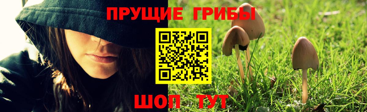 A PVP Людиново